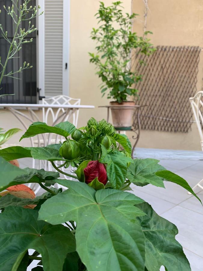 La Terrazza Vercelli Bed & Charme Εξωτερικό φωτογραφία